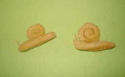 Snails paso 3