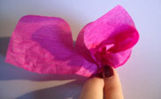 Crepe paper flowers paso 5