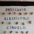Manualidades infantiles EL HUERTO DEL ABUELO
