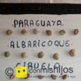 Manualidades infantiles GRANDFATHER´S VEGETABLE GARDEN