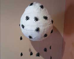 Huevo de araña