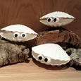 Manualidades infantiles BICHITOS DE CONCHAS