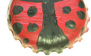 assets/images/manualidades/439_manualidadchapa3.jpg