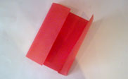 assets/images/manualidades/65_manualidad_tarjetaflor1.jpg