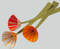 Flores
