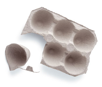 assets/images/manualidades/72_manualidad_flor1.jpg