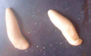 assets/images/manualidades/91_manualidad_escarabajo_1.jpg