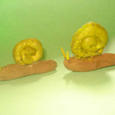 Manualidades infantiles CARACOLES