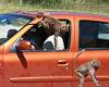 assets/images/ociofuera/a/africam.jpg