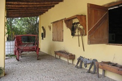 CAMPAMENTOS DE VERANO 2010, GRANJA ESCUELA “EL ÁLAMO”, BRUNETE (MADRID)