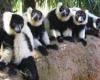 assets/images/ociofuera/f/foto_bioparc.jpg
