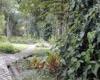 assets/images/ociofuera/j/jardin_etnobotanico.jpg