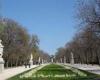 assets/images/ociofuera/m/mad_parqueretiro_ok.jpg