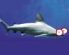 ../assets/images/ociofuera2012/o/oceanografic_pascua_thumb_100x80.jpg