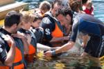 BAÑOS CON OSOS MARINOS. FAUNIA