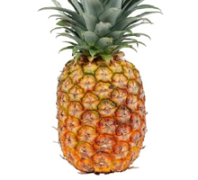 Piña de verano etapas 1