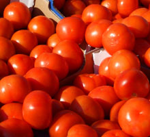 Tomates rellenos etapas 2