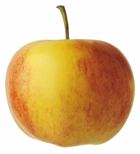 Tortitas de manzana