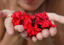 Tarjetas Te regalo flores