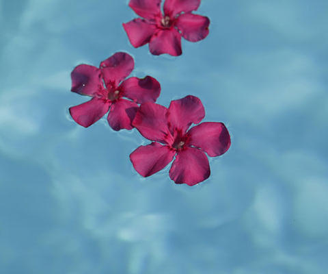 assets/images/tarjetas/113_tarjeta_san_valentin_7.jpg
