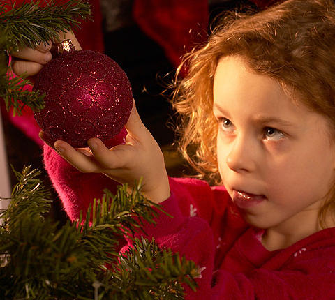 assets/images/tarjetas/140_ecard_decoracion_navidad.jpg