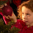 assets/images/tarjetas/140_ecard_decoracion_navidad.jpg