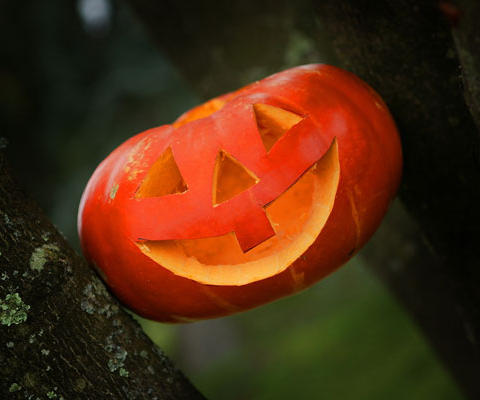 assets/images/tarjetas/79_tarjeta_halloween1.jpg