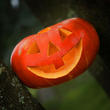 assets/images/tarjetas/79_tarjeta_halloween1.jpg