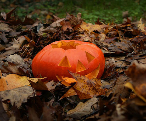 assets/images/tarjetas/80_tarjeta_halloween2.jpg