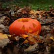 assets/images/tarjetas/80_tarjeta_halloween2.jpg