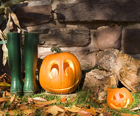 assets/images/tarjetas/81_tarjeta_halloween3.jpg