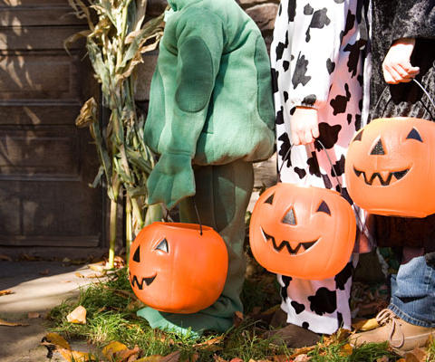 assets/images/tarjetas/84_tarjeta_halloween6.jpg