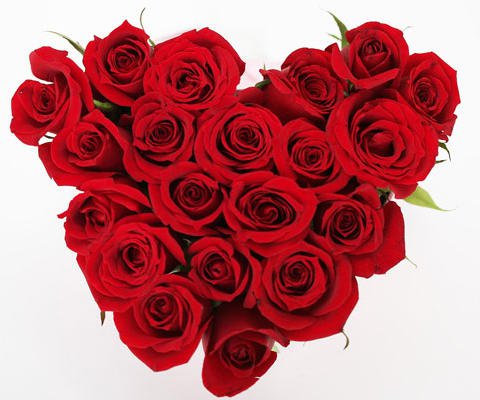ENVIAR FLORES VIRTUALES enviar flores virtuales:
