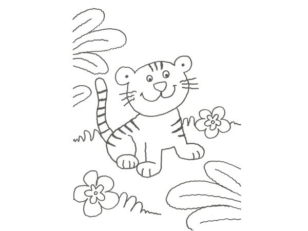 Dibujo De Un Tigre Para Colorear Dibujo De Un Tigre Para Colorear
