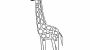 Una jirafa: dibujo para colorear e imprimir