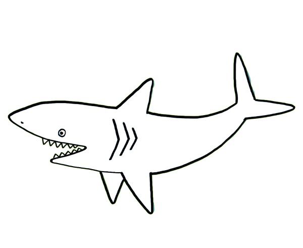 Como dibujar un tiburon facil - Imagui