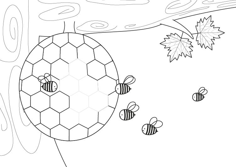 Imprimir: Panal de abejas: dibujo para colorear e imprimir