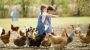 ¿Por qué a los niños les gustan los animales?