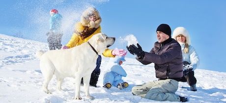 Descubrir la nieve a los niños