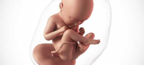 Desarrollo del bebé en la semana 35 de embarazo