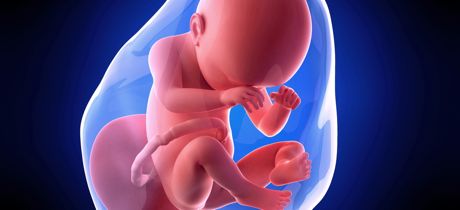 Desarrollo del bebé en la semana 38 de embarazo