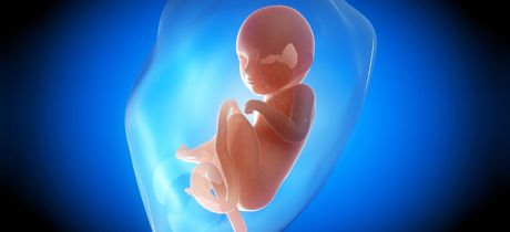 desarrollo del bebe en la semana 32 de embarazo