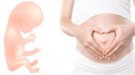 Desarrollo fetal en la semana 11 de embarazo