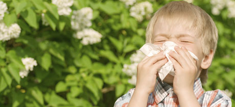 Homeopatía para la alergia en niños