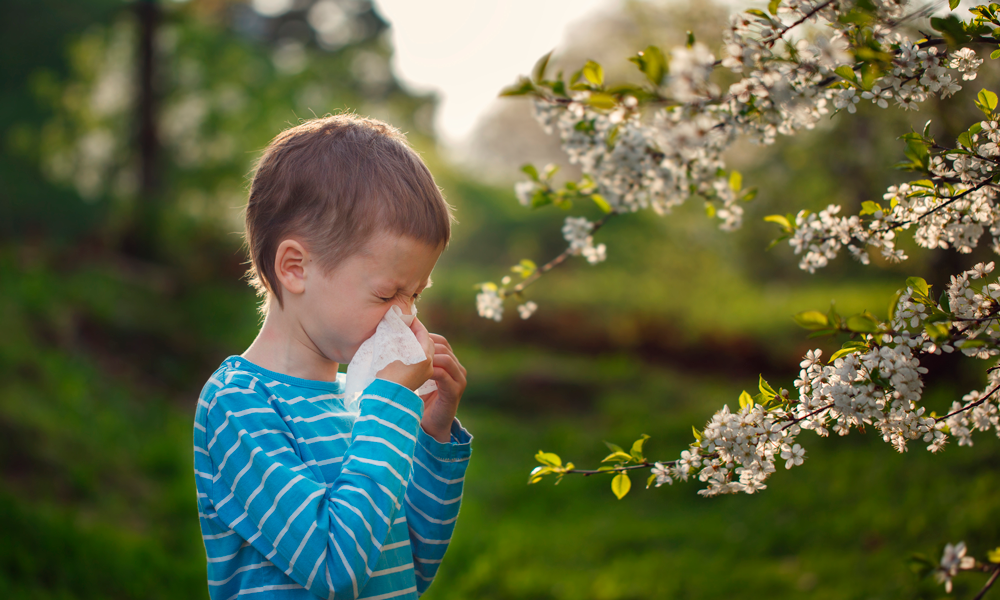 Alergia al polen en los niños