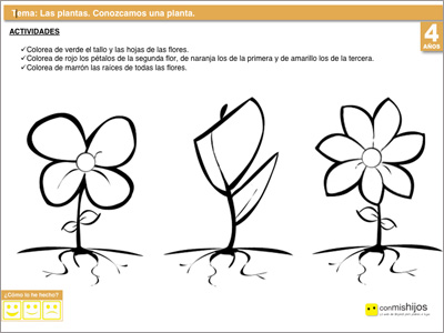 Conocer una planta. Ejercicio escolar para niños