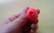 Roses medallion paso 4