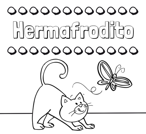 Colorear un dibujo con nombre, gato y mariposa