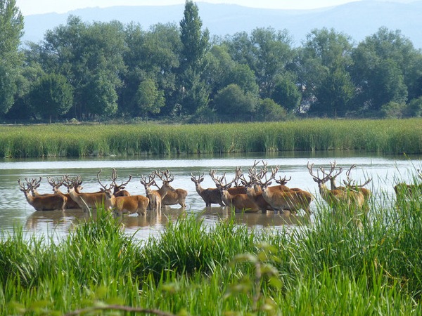Parque de Salburua en VitoriaGasteiz, Álava