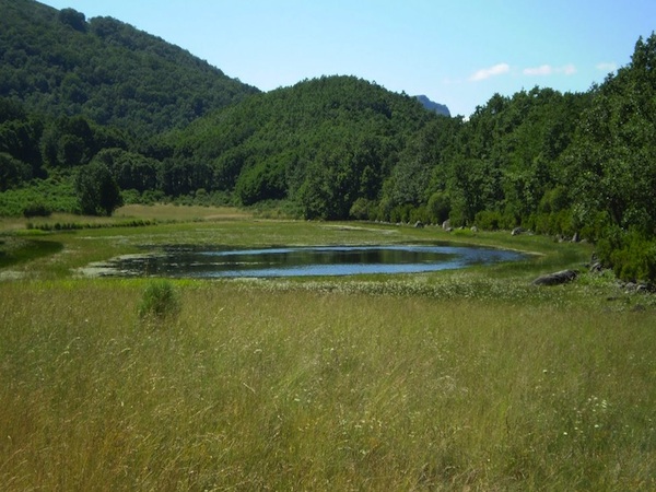 Microrreserva Laguna de los Carros